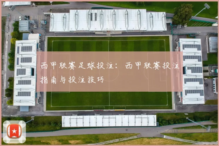 西甲联赛足球投注：西甲联赛投注指南与投注技巧