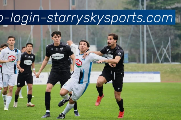 App Interface Preview